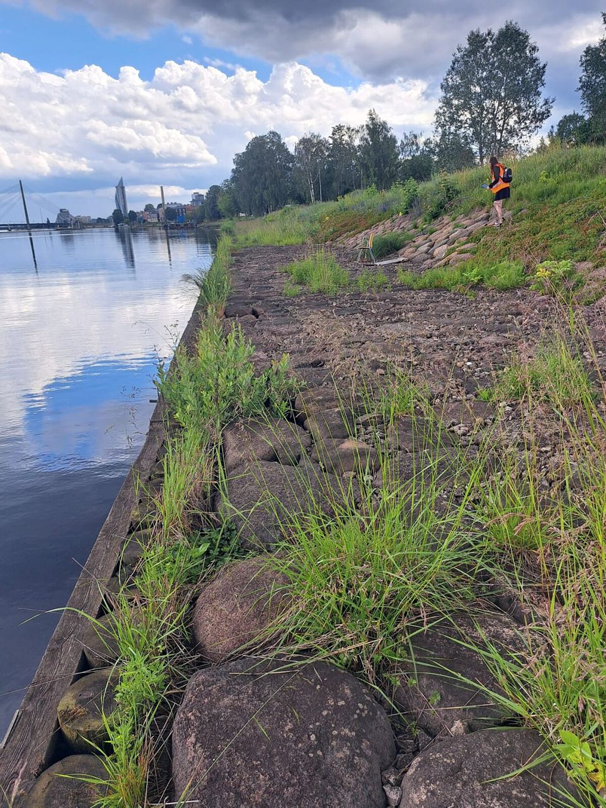 The water's edge is visible in the picture. To the left is a body of water, to the right - an elevated part of the shore covered with stones. You can see on the right side of the picture a student in an orange vest. The water's edge is visible in the picture. To the left is a body of water, to the right - an elevated part of the shore covered with stones. You can see on the right side of the picture a student in an orange vest.
