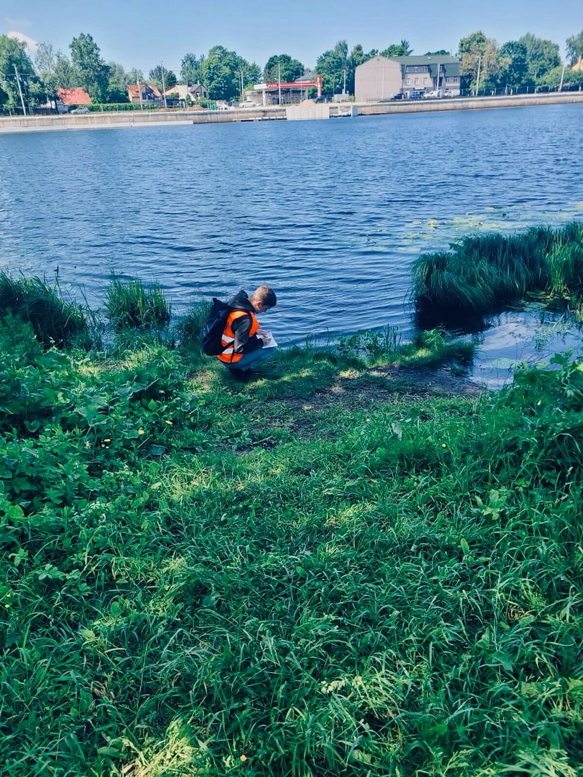 Attēlā redzams ūdenstilpnes krasts, apaudzis ar dažādiem augiem. Pie ūdensmalas tup students oranžā atstarojošā vestē un veic piezīmes. Otrā ūdenstilpnes krastā redzama degvielas uzpildes stacija un citas būves. Attēlā redzams ūdentilpnes krasts, apaudzis ar dažādiem augiem. Pie ūdensmalas tup students oranžā atstarojošā vestē un veic piezīmes. Otrā ūdenstilpnes krastā redzama degvielas uzpildes stacija un citas būves.