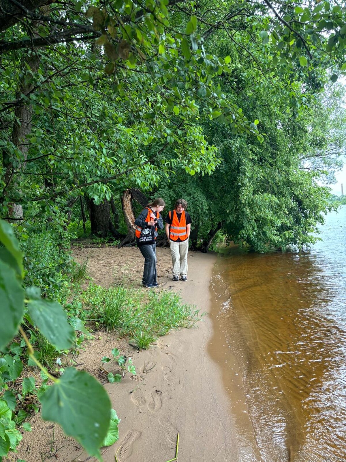 The picture shows the water's edge. Two students in orange vests are standing next to it. Trees, bushes and other plants on the edges of the picture. The picture shows the water's edge. Two students in orange vests are standing next to it. Trees, bushes and other plants on the edges of the picture.